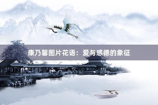 康乃馨图片花语:爱与感德的象征