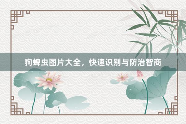 狗蜱虫图片大全，快速识别与防治智商